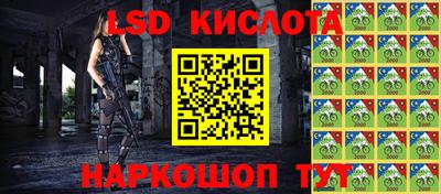 прущие грибы Пушкино