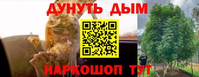 прущие грибы Пушкино