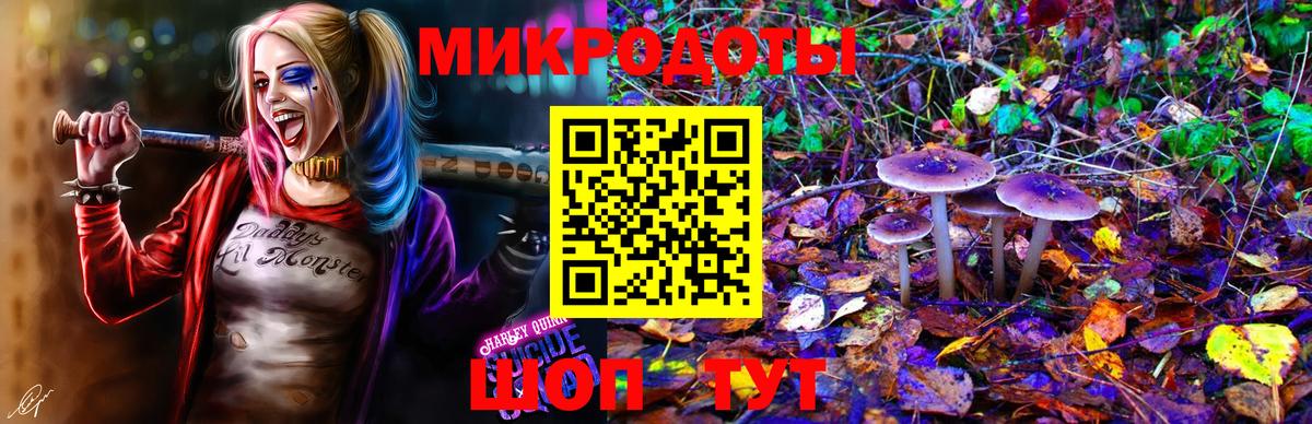 Псилоцибиновые грибы прущие грибы Сызрань